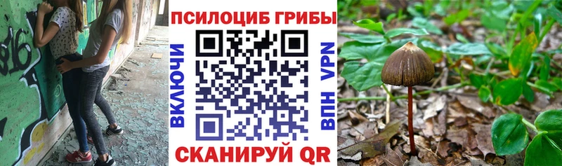 Псилоцибиновые грибы Psilocybine cubensis магазин Пикалёво
